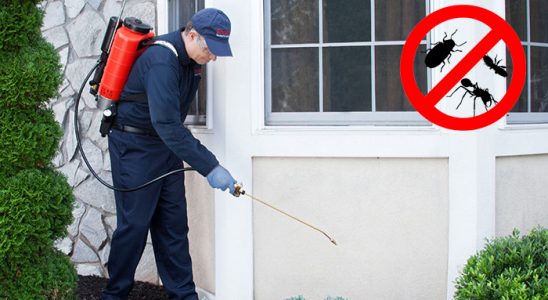 Kayseri Böcek İlaçlama böcek ilaçlama ve haşere kontrolü — ilaclama-tr.com